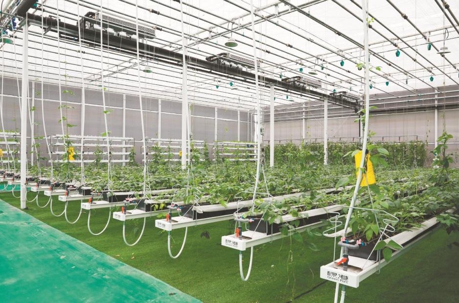 截圖20240930152422.png 截圖20240930152422.png