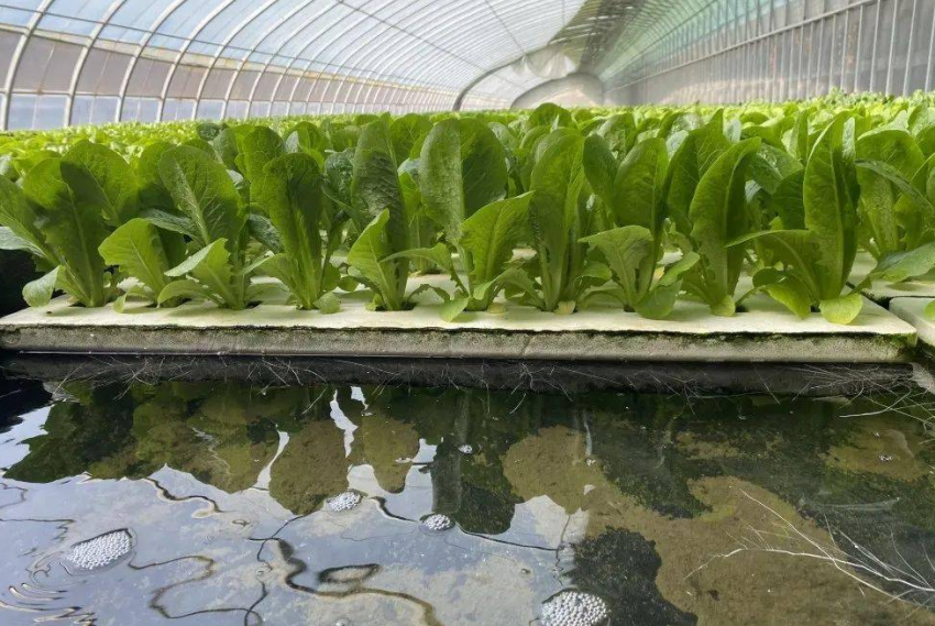 QQ20241002-084132.png QQ20241002-084132.png