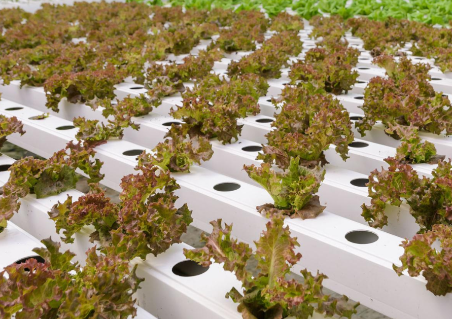 QQ20241002-084501.png QQ20241002-084501.png