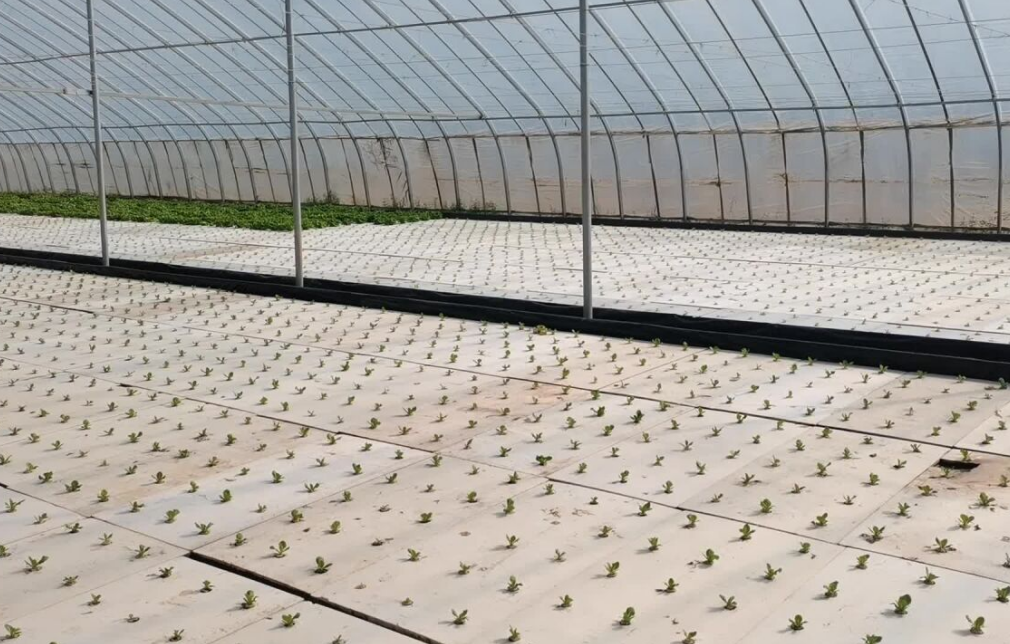 QQ20241002-084305.png QQ20241002-084305.png