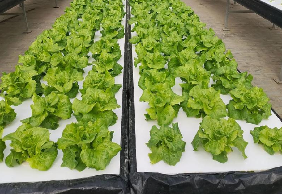 QQ20241002-084433.png QQ20241002-084433.png