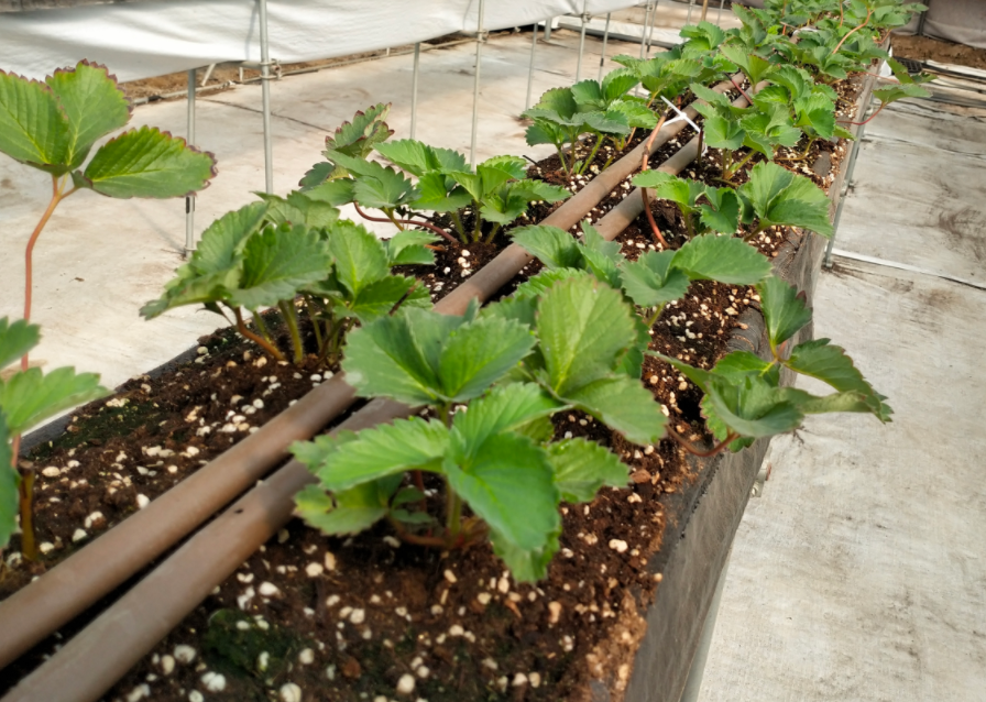 QQ20241004-085528.png QQ20241004-085528.png