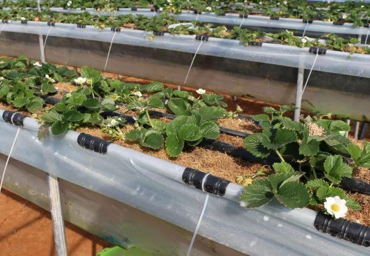 QQ20241004-085422.png QQ20241004-085422.png