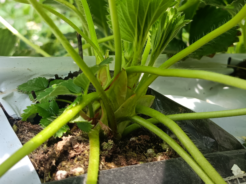 QQ20241004-085722.png QQ20241004-085722.png