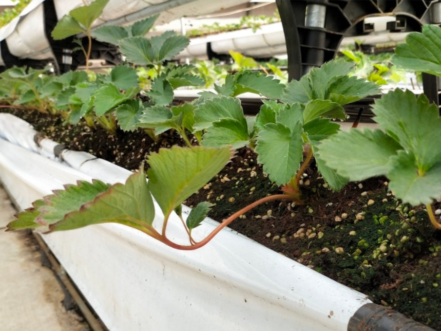 QQ20241004-085745.png QQ20241004-085745.png