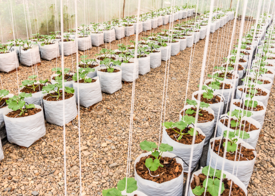 QQ20241011-085657.png QQ20241011-085657.png