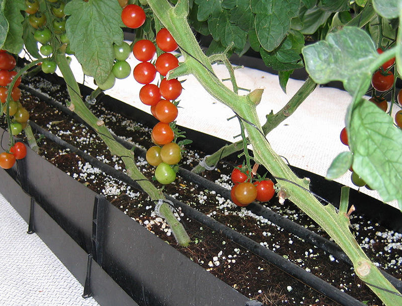 QQ20241011-085630.png QQ20241011-085630.png