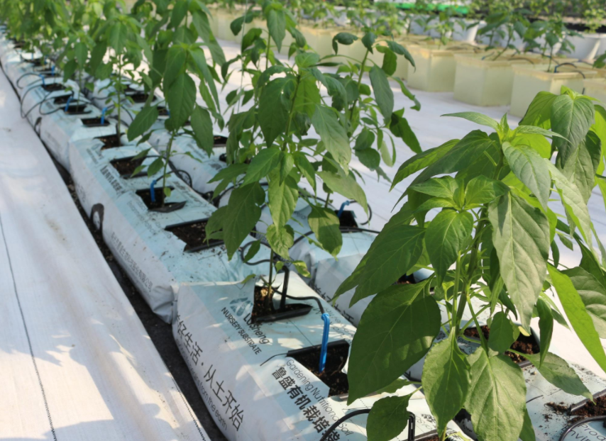 QQ20241011-085517.png QQ20241011-085517.png