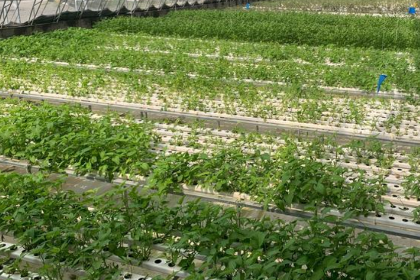 QQ20241013-094625.png QQ20241013-094625.png