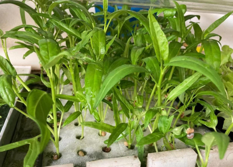 QQ20241013-095643.png QQ20241013-095643.png