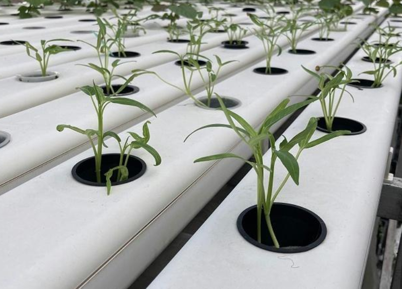 QQ20241013-095719.png QQ20241013-095719.png