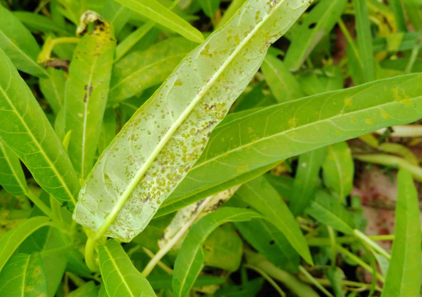 QQ20241013-094710.png QQ20241013-094710.png