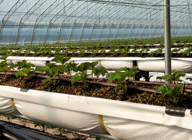 QQ20241015-100002.png QQ20241015-100002.png