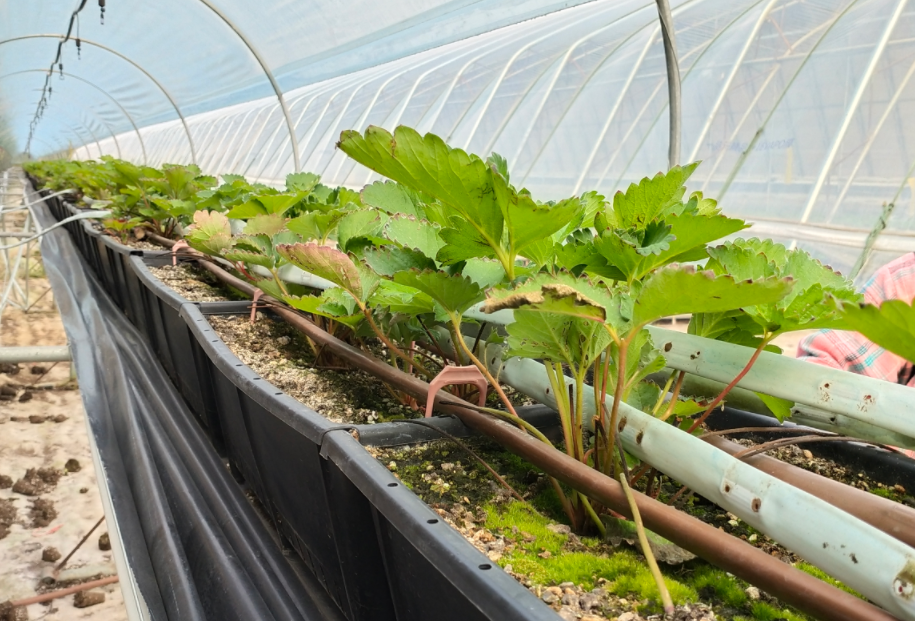 QQ20241015-100058.png QQ20241015-100058.png