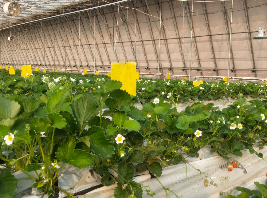 QQ20241015-095840.png QQ20241015-095840.png