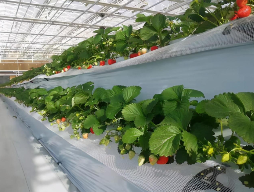 QQ20241015-095820.png QQ20241015-095820.png