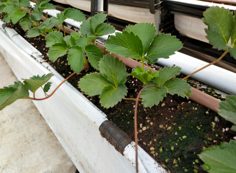 QQ20241015-100018.png QQ20241015-100018.png