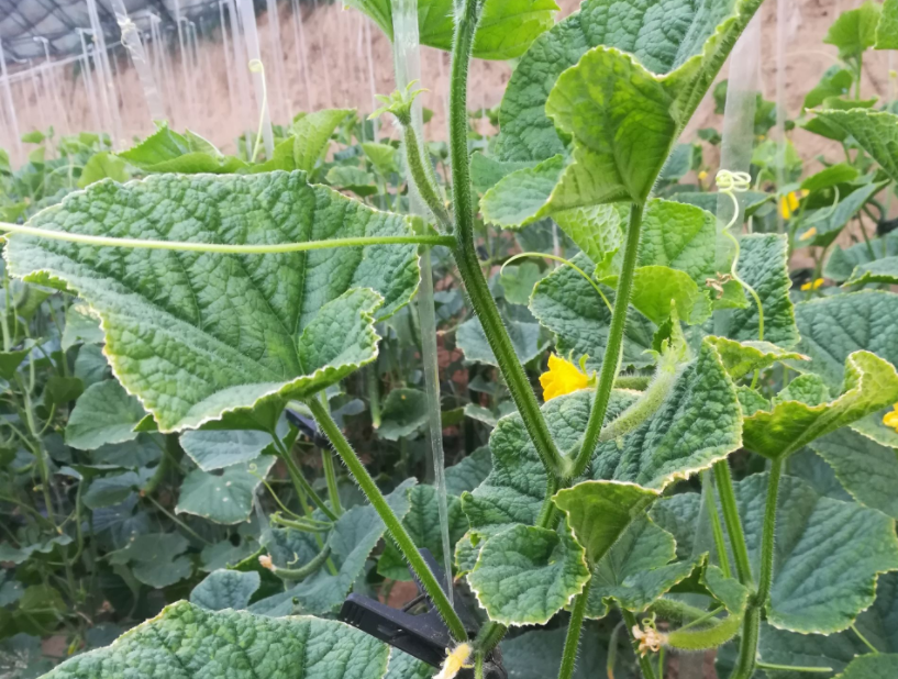 QQ20241018-090649.png QQ20241018-090649.png