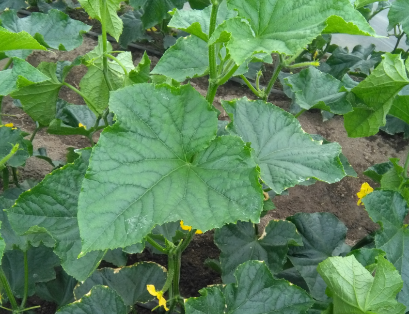 QQ20241018-090546.png QQ20241018-090546.png