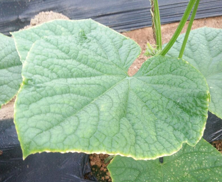 QQ20241018-090707.png QQ20241018-090707.png