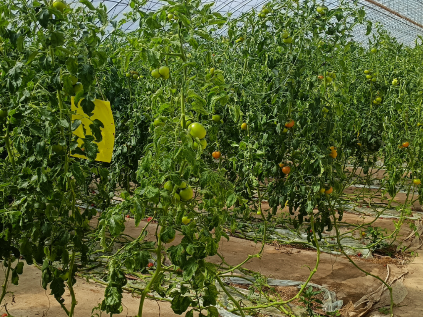 QQ20241020-104358.png QQ20241020-104358.png