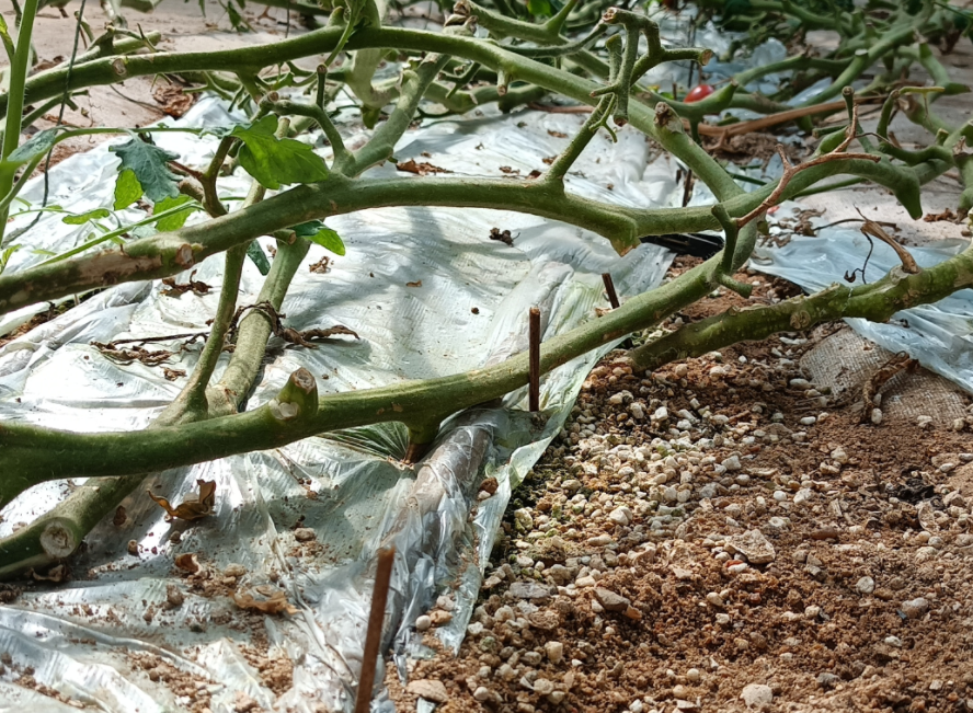 QQ20241020-104525.png QQ20241020-104525.png