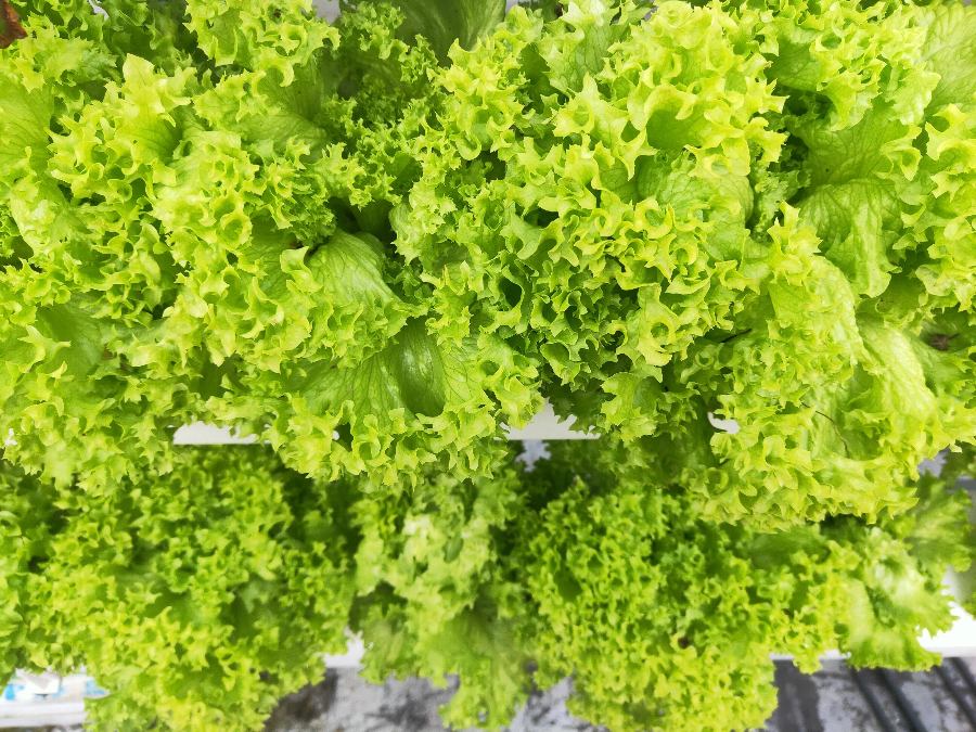 5b761607907394988ded9daf2a553186.png 5b761607907394988ded9daf2a553186.png