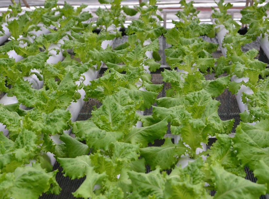 4eda2d40b2a69b11b959f411f97a1432.png 4eda2d40b2a69b11b959f411f97a1432.png