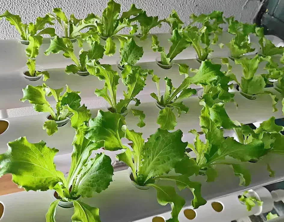 ac9dc2d4ff7d169f43cb7e98a031cf25 (1) (1).png ac9dc2d4ff7d169f43cb7e98a031cf25 (1) (1).png