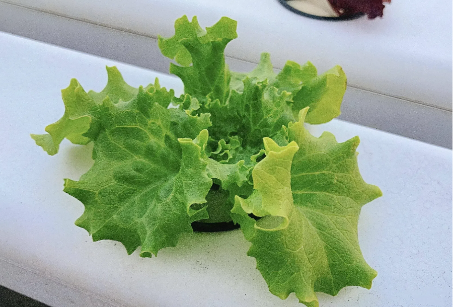 7af348f496a7e82aa847b0c2afb134bf (1).png 7af348f496a7e82aa847b0c2afb134bf (1).png