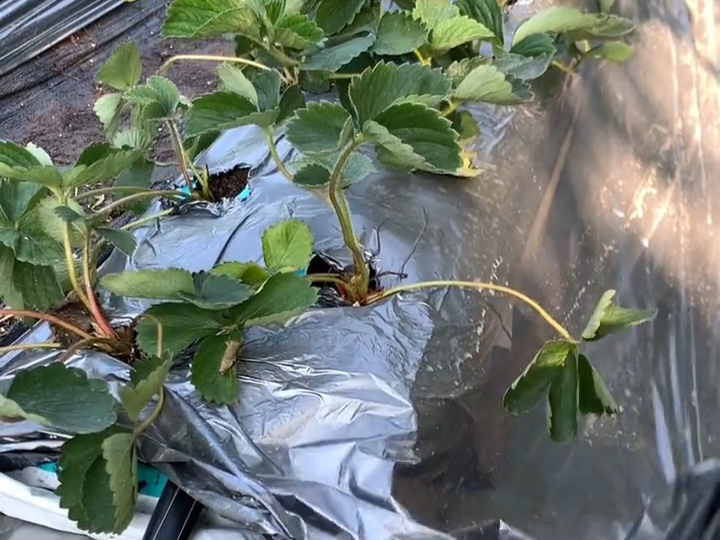 IMG_20241104_143011.jpg IMG_20241104_143011.jpg