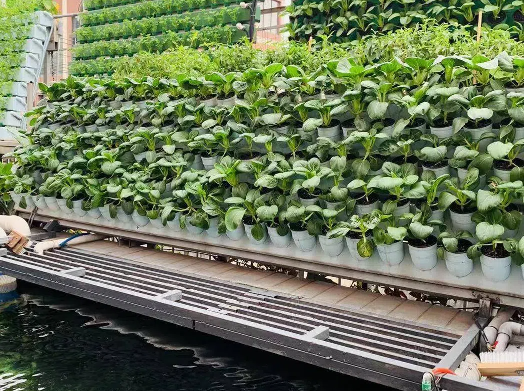 55b14bc6b935c9f783c81bdb2f4353dd.png 55b14bc6b935c9f783c81bdb2f4353dd.png