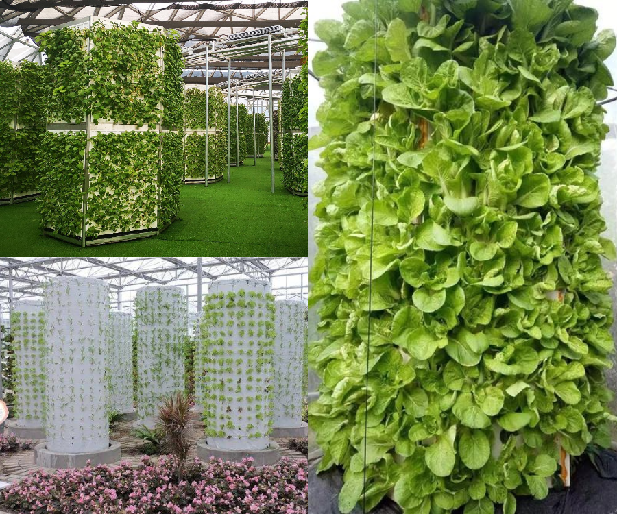 下載 (1).png 下載 (1).png