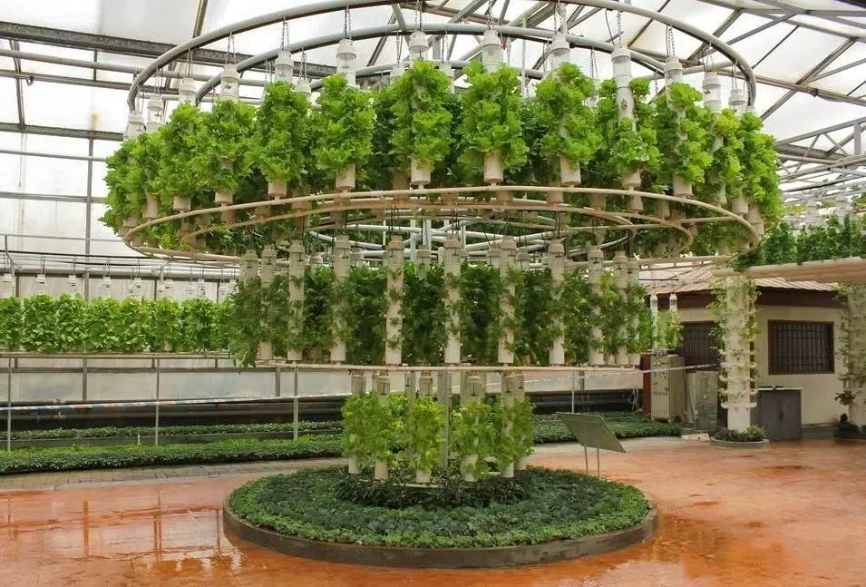 v2-a244664616babb0fa910aa0eb8ed733e_1440w.png v2-a244664616babb0fa910aa0eb8ed733e_1440w.png