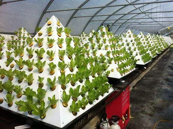 60fc83cad29369ac924b945d1fbbb232.png 60fc83cad29369ac924b945d1fbbb232.png