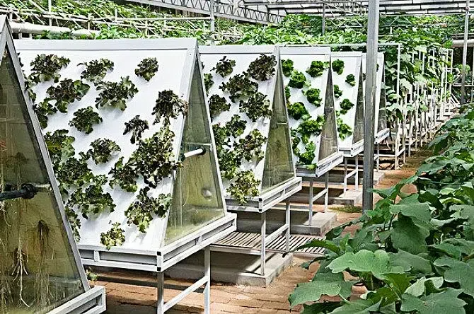 7bb7ce89058e6809c1de66bc0a27f720.png 7bb7ce89058e6809c1de66bc0a27f720.png