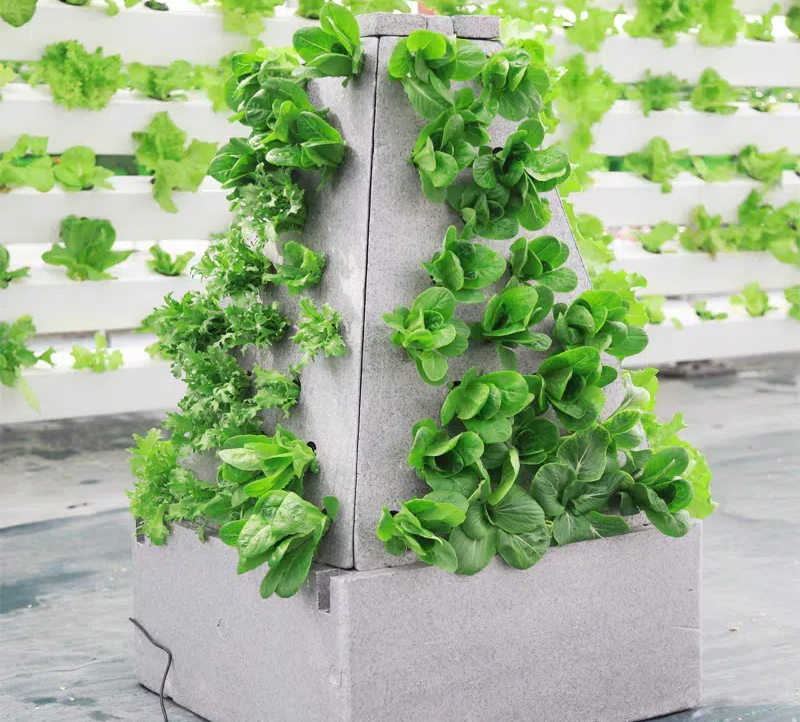 tb_image_share_1730871601666.jpg (1).png tb_image_share_1730871601666.jpg (1).png