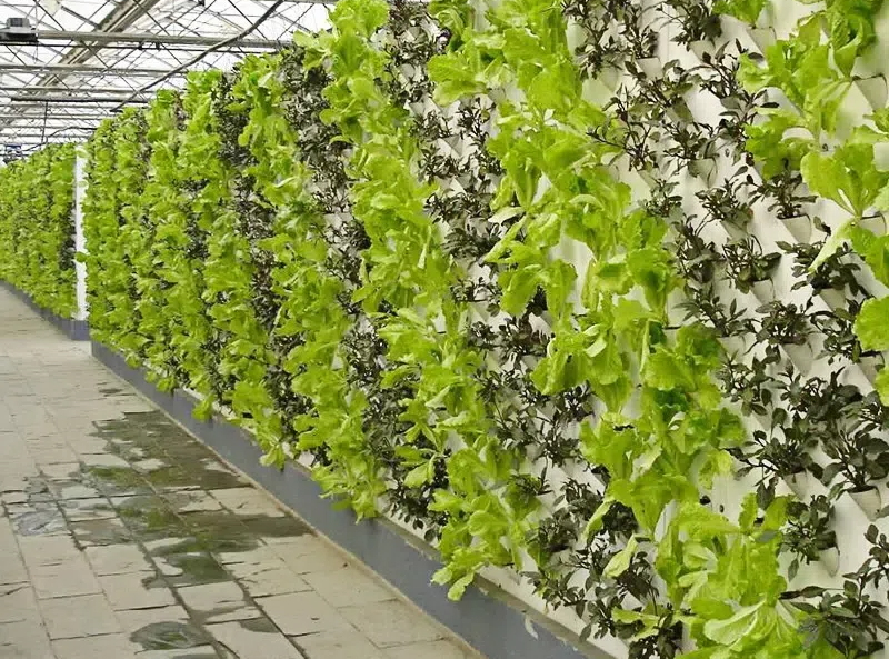 1688_image_share_efbbd85658fb8d261672fbb5a0353744.png 1688_image_share_efbbd85658fb8d261672fbb5a0353744.png