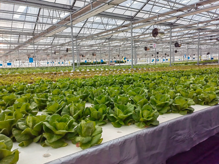 e267920abc9d8949ec9f5cbe8d92f786.png e267920abc9d8949ec9f5cbe8d92f786.png