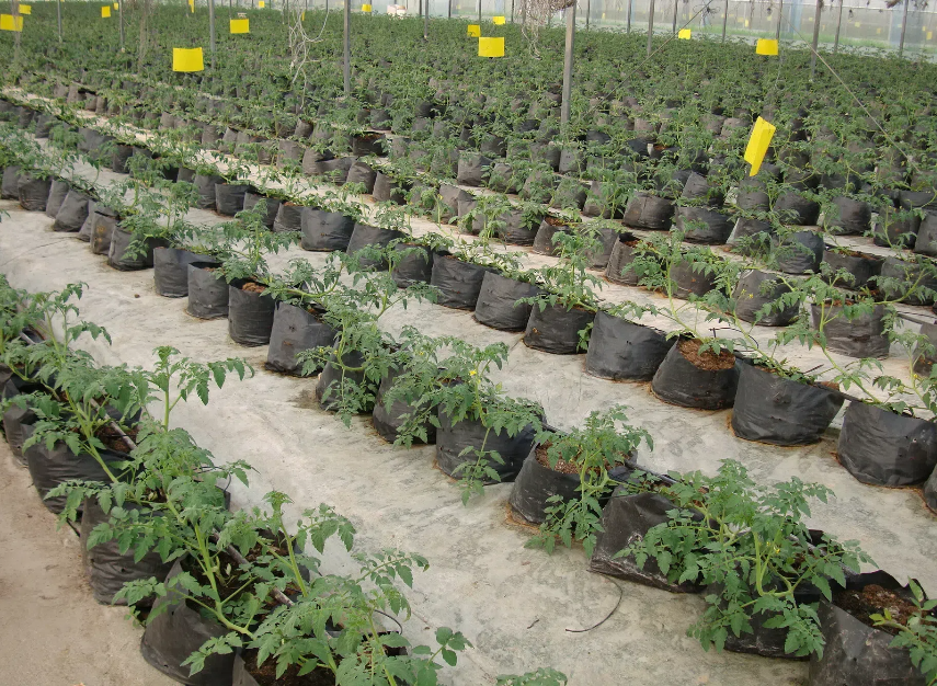 e0e522814cfb7339a20199b94f7fcfe3.png e0e522814cfb7339a20199b94f7fcfe3.png