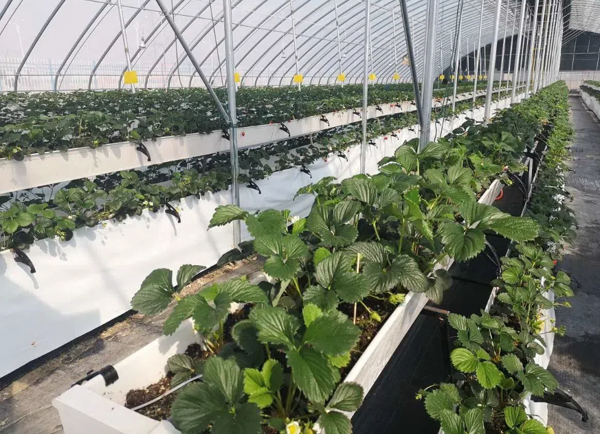 d5f22bbd91ff0e4e24625e230fc1df1e.png d5f22bbd91ff0e4e24625e230fc1df1e.png