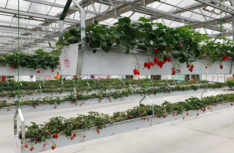 fd0d3391009657e23447c30b93aec0bd.png fd0d3391009657e23447c30b93aec0bd.png