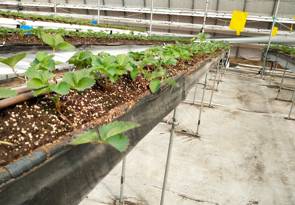 IMG_20230926_091033.png IMG_20230926_091033.png