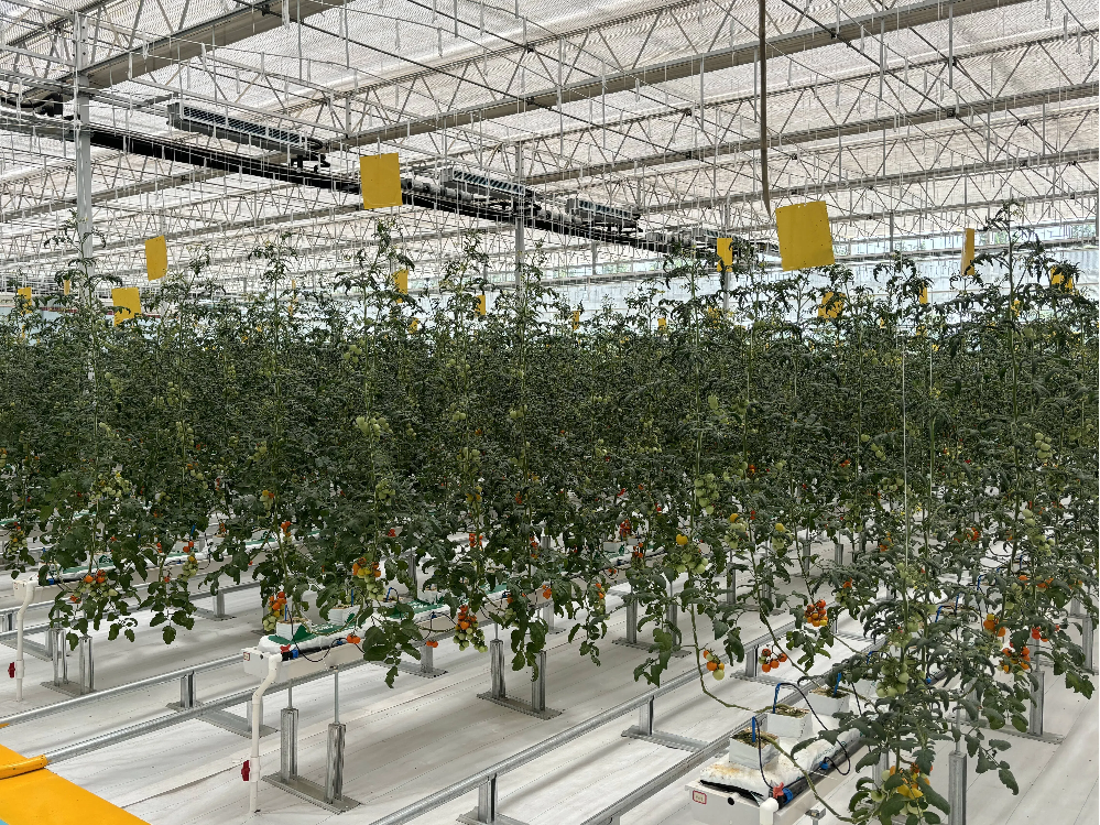 fd35a165f3ec0a528a44033d5329a292.png fd35a165f3ec0a528a44033d5329a292.png