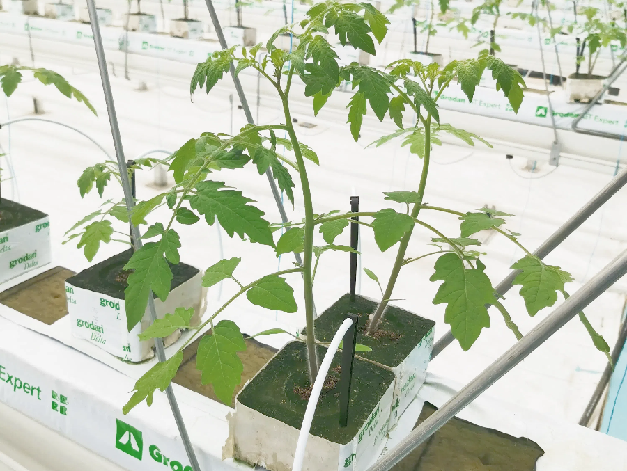 c5fd57756a9a35d2d15c4d8c867623e4.png c5fd57756a9a35d2d15c4d8c867623e4.png