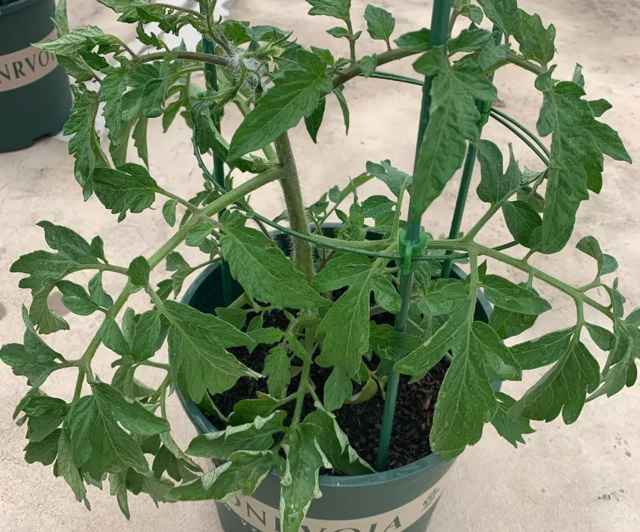 a2a399a44eebc62026cb902a0923cb56 (1).png a2a399a44eebc62026cb902a0923cb56 (1).png