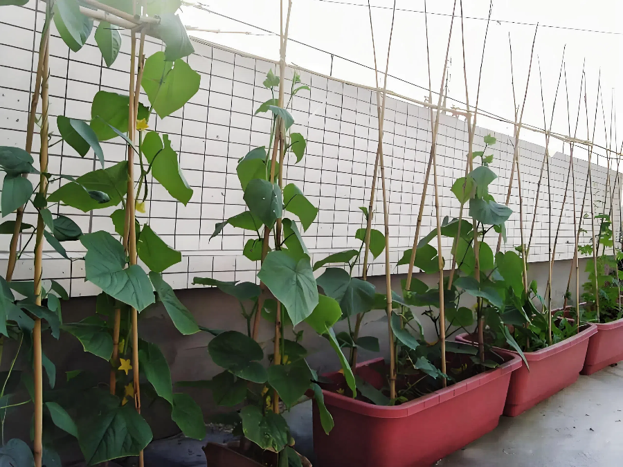 678590e83cb486dc7f33f0e4a915bced.png 678590e83cb486dc7f33f0e4a915bced.png