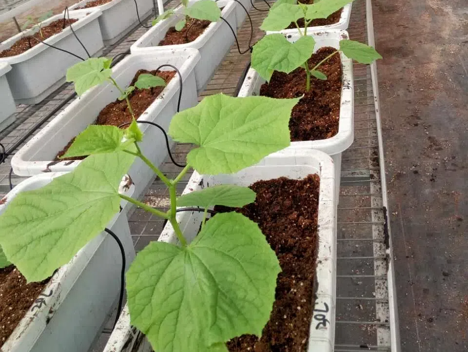 ea04716d0882ffcf0508d430d838ea7a.png ea04716d0882ffcf0508d430d838ea7a.png