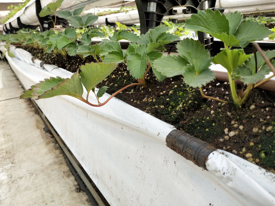 IMG_20230926_091232.png IMG_20230926_091232.png