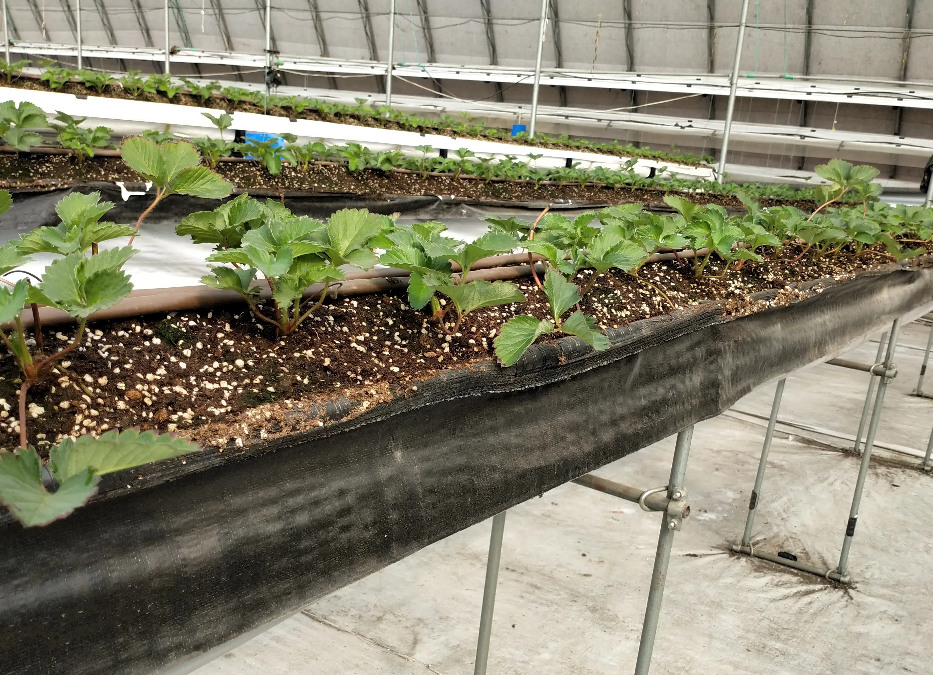 IMG_20230926_091036.png IMG_20230926_091036.png